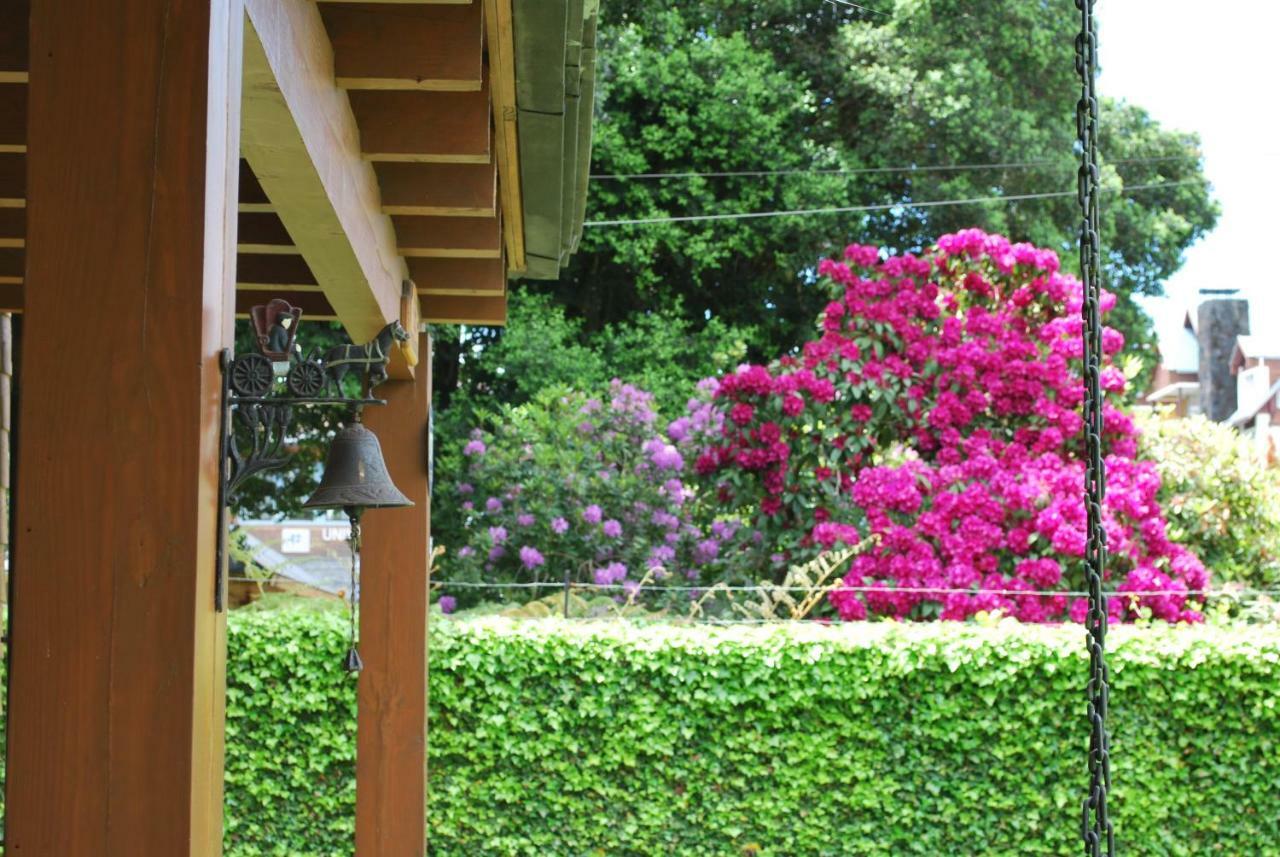 Frontera Pucon Hostel B&B Zewnętrze zdjęcie